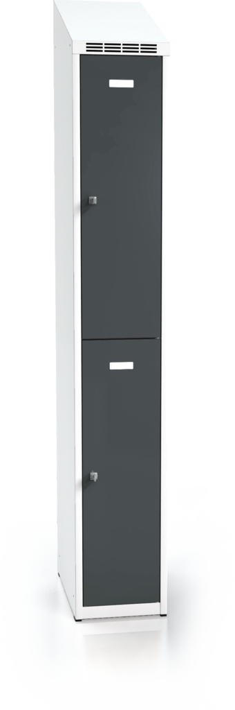 Divided cloakroom locker ALDUR 1 with sloping top 1995 x 300 x 500